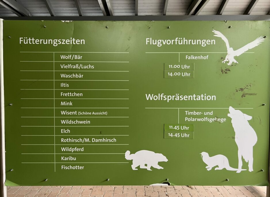 Wisentgehege (4)