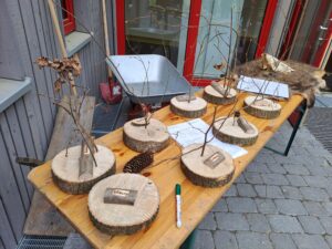 Read more about the article Zu Besuch im Misburger Waldforum